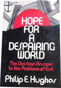 Image of Hope for a despairing world: the christian answer to the problem of evil